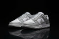 Nike Dunk Retro low top Nike